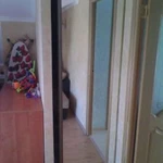 Фото №3 Двери купе