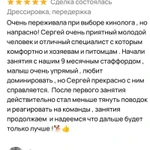 Фото №3 Дрессировка, передержка