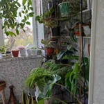 Фото №5 3-к квартира, 55 м2, 1/5 эт.