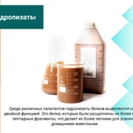 Фото №4 Усилитель вкуса корма для домашних животных