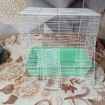 Фото №2 Клетка