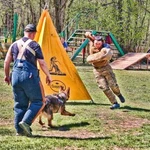 Фото №4 Профессиональная дрессировка собак любых пород