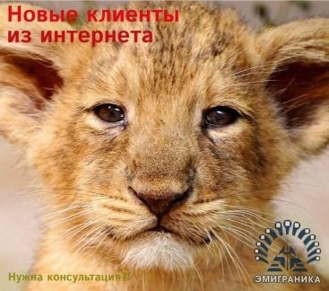 Фото Новые клиенты из интернета для Вас