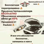 Бесплатная перепрошивка и удаление катализатора