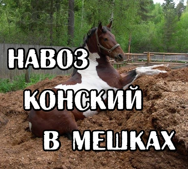 Фото Навоз конский в мешках