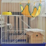 Фото №4 Новые клетки шиншиллы, хорьки, дегу, крыса, белка