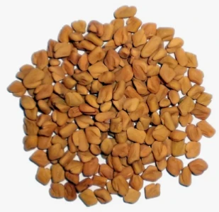 Фото Пажитник семя