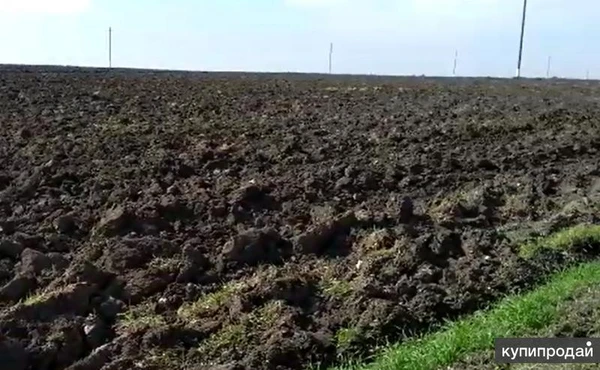 Земельный участок 100 гектар