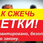 Фото №50 СПИЛ КОРЧЕВАНИЕ ВЫРАВНИВАНИЕ ПЛАНИРОВКА СПБ И ЛЕНОБЛАСТЬ.