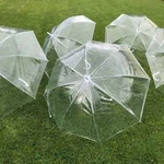 Аренда прозрачных зонтов