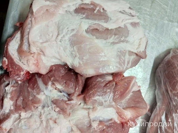 Фото Свинина опт