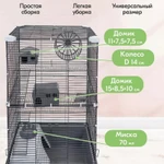 Фото №3 2 клетки